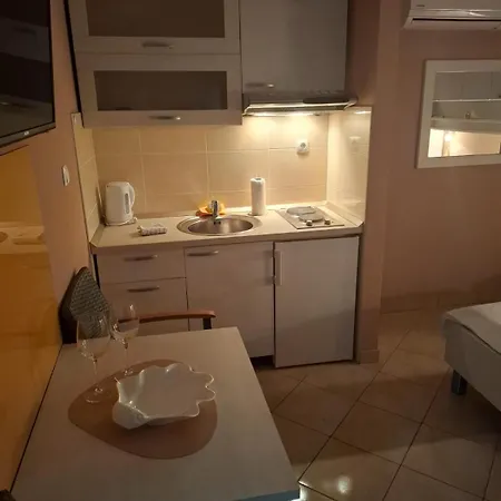 Happy Basset Terrace